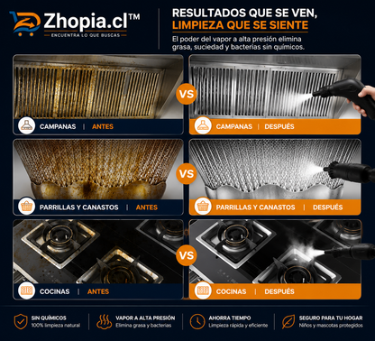 Limpiador A Vapor Presion 2500w Portatil